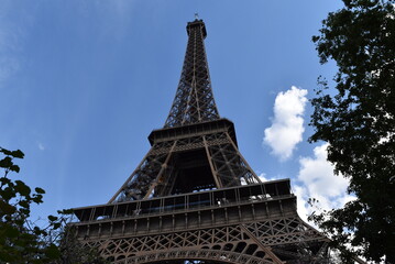 La célèbre Tour Eiffel, apparaissant entre les feuilles des arbres.