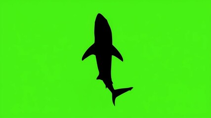 A menacing shark silhouette cruises through a neon green sea evoking feelings of danger mystery and anticipation 