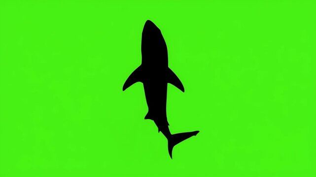 A menacing shark silhouette cruises through a neon green sea evoking feelings of danger mystery and anticipation 