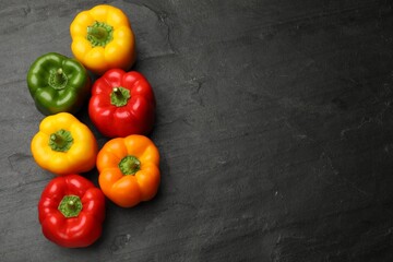 Fresh colorful bell peppers on black textured table, flat lay. Space for text