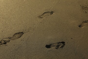 Many footprints on sand as background, closeup