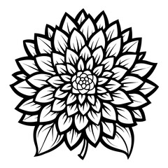 black and white flower