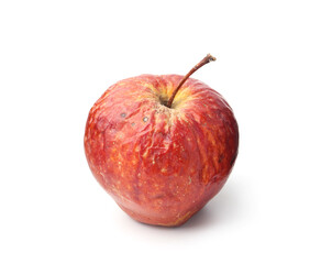One whole rotten apple isolated on white