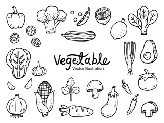 Vector illustration of vegetables Set Collection – food and organic plants concept, hand drawn doodle art style
