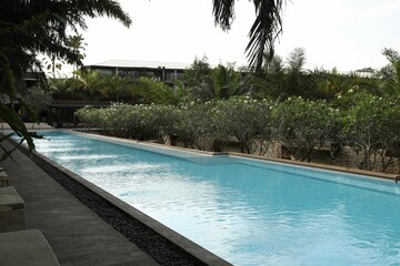 Outdoor swimming pool and green plants at luxury resort