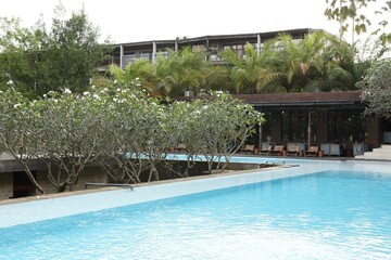Outdoor swimming pool and green plants near building at luxury resort