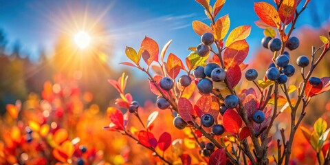 Autumnal Sunlight Illuminates Ripe Berries on Vivid Red and Orange Foliage
