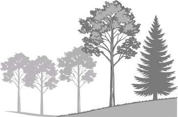 Fototapeta premium Monochrome illustration of various tree silhouettes on a gentle slope with white background