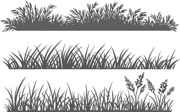 Set of hand drawn grayscale silhouettes of grass and wheat vector illustrations