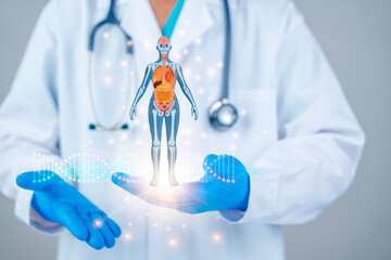 Fototapeta premium Doctor holding human hologram, digital healthcare technology, anatomy scan, medical innovation 