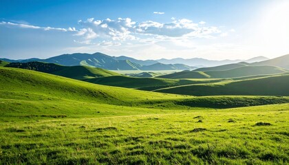 Obraz premium mountain landscape with green grass