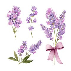 Obraz premium collection of lavender bouquets isolated on white or transparent background, set of summer flowers bouquet of purple color