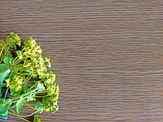 Wooden textured background with fresh green flowers in the bottom left corner, creating a cozy atmosphere.