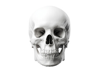Human skull anatomy model isolated on black background, Isolated On Transparent Background