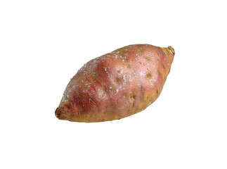Single raw sweet potato isolated on black background, Isolated On Transparent Background