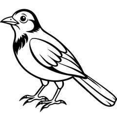 Fototapeta premium Illustration of a cute bird drawing vector image stock graphic design