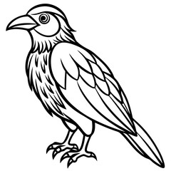 Obraz premium Detailed line art illustration of a crow bird standing profile view style
