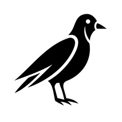 Crow raven bird silhouette vector illustration graphic design element