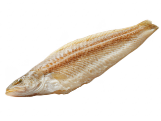 Fresh Banded Sole Fish: Raw Seafood Isolated on White
