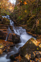 Oirase Stream is a popular place to see autumn leaves in Japan, especially in late October to early November, just before Lake Towada, Tohoku region, Japan