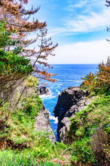 岩手県陸前高田の小さな漁港と岬
