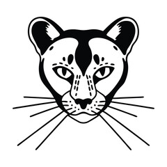 Frontal face of outlined jaguar displays symmetrical features and striking black and white patterns