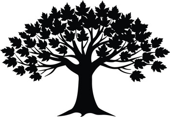Obraz premium Silhouette Of A Large Tree With Autumn Canopy - Premium Design Element