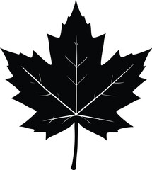 Silhouette Of A Single Maple Leaf Minimal Vector - Premium Design Element