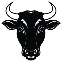 Isolated black and white bull head gazes forward directly, embodying strength