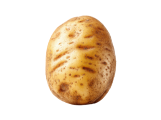 Single russet potato isolated on black background, Isolated On Transparent Background