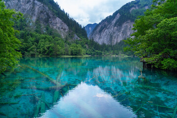 Beautiful view of the Five Flower Lake (Multicolored Lake) among fall woods in Jiuzhaigou nature reserve (Jiuzhai Valley National Park), China.