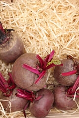 Ripe beets in a wooden box filled with wood chips. Farmer's market. Beets close-up. Fresh beets in a wooden box. Vegetables. A pile of home-grown organic beets
