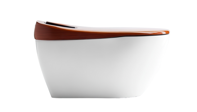 Modern, minimalist toilet with a wooden accent.  Sleek, contemporary design