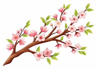 Cherry blossom with watercolor Sakura flower branch. pink flowering plant against white background