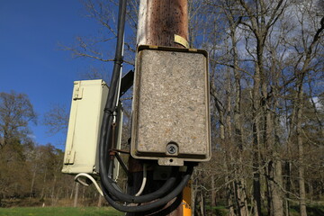 Power supply electricity distribution at a wooden pole.