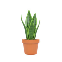Fototapeta premium Watermelon Snake Plant in Small Terracotta Pot on White Background
