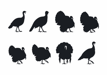 Turkey silhouette collection thanksgiving animal fowl