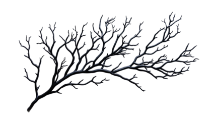 Dark, intricate branch structure