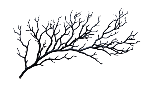 Dark, intricate branch structure