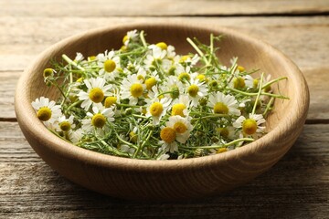 Fresh chamomile flowers in bowl on wooden table, closeup