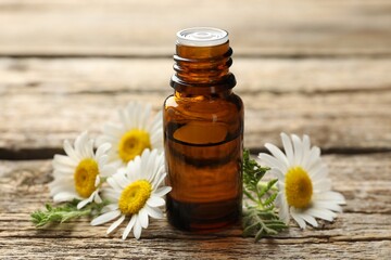 Bottle of essential oil and chamomile flowers on wooden table, closeup