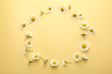 Beautiful chamomile flowers on yellow background, flat lay. Space for text