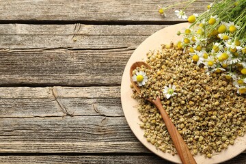 Dry, fresh chamomile flowers and spoon on wooden table, top view. Space for text