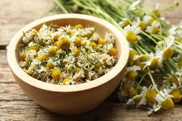 Dry chamomiles in bowl and fresh flowers on wooden table, closeup