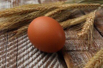 Raw egg and spikes of wheat on wooden table, closeup