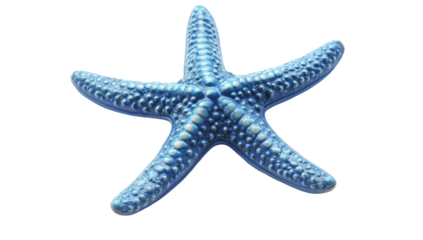 Vibrant blue starfish, detailed texture