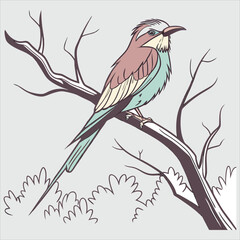 bird cartoon vector