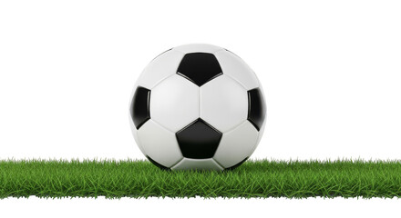 Fototapeta premium Soccer ball rests on lush grass