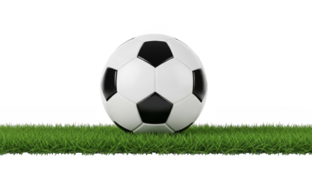 Soccer ball rests on lush grass