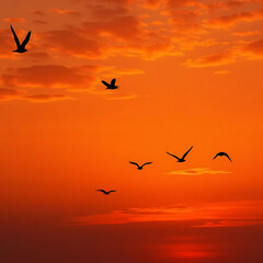 Fototapeta premium birds flying in the sunset-Migratory Birds Silhouettes at Dusk - Warm Evening Sky Stock Photo.png